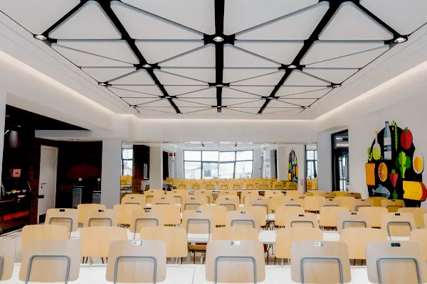 Компания «Авангард» стала официальным дилером подвесных потолков Ecophon в России Компания «Авангард» стала официальным дилером подвесных потолков Ecophon в России